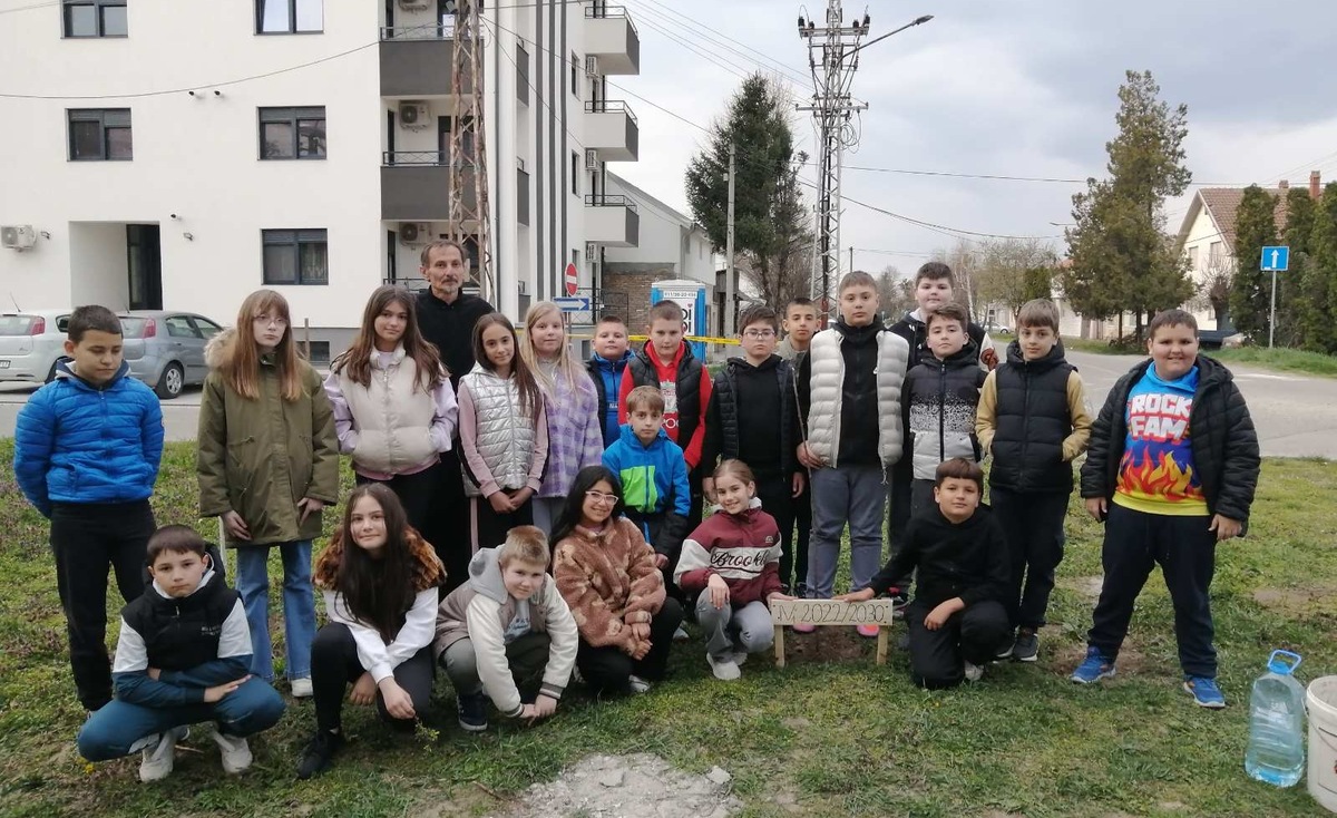 Дрво генерације