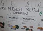 Заступљеност јона метала у намирницама