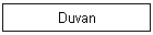 Duvan