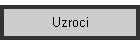Uzroci