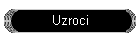 Uzroci