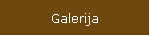 Galerija