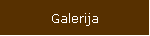 Galerija