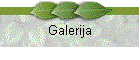 Galerija