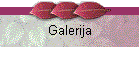 Galerija