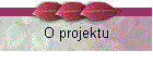 O projektu