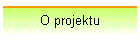 O projektu