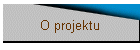 O projektu