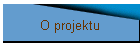 O projektu